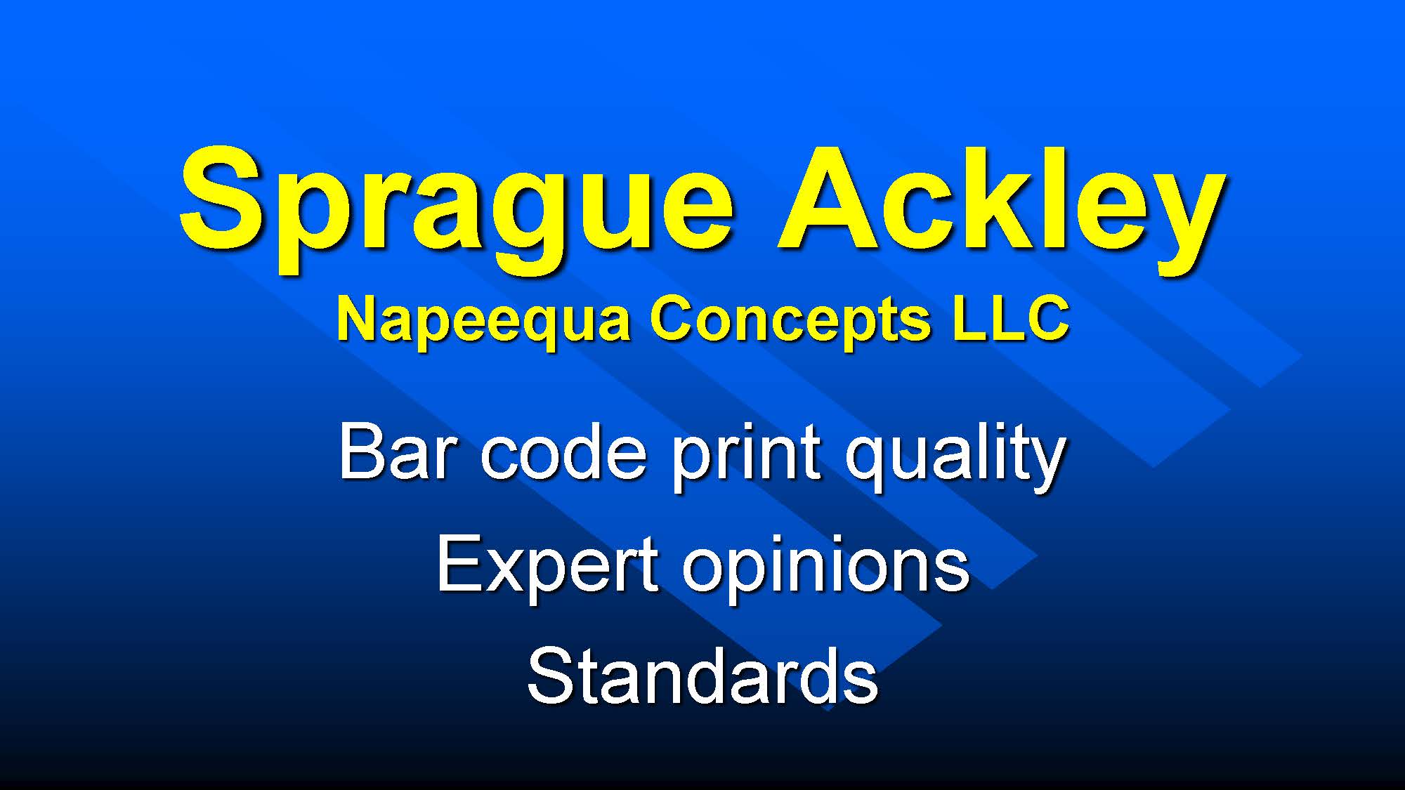 Napeequa Concepts logo